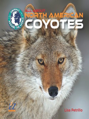 cover image of All About North American Coyotes